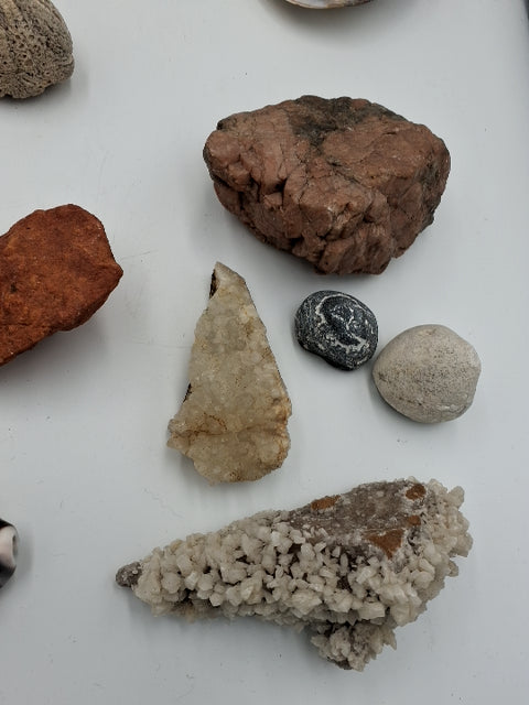 Sten og forsil samling